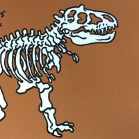恐竜好きな人のお部屋