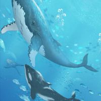 ミラクルニキコーデ投稿の部屋