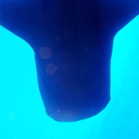 走吧潛水