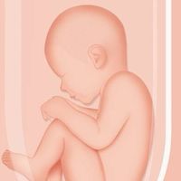「高雄」試管討論（子社群：孕中、育兒）