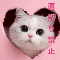【TikTokLite】協力【争奪戦】SHEIN・TEMU