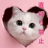 【TikTokLite】協力【争奪戦】SHEIN・TEMU