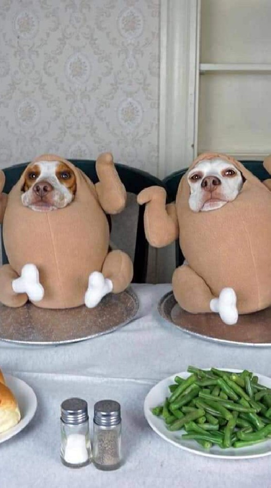 หาเพื่อนปาร์ตี้ กินหมูกะทะ สังสรรค์กับเพื่อนฝูง