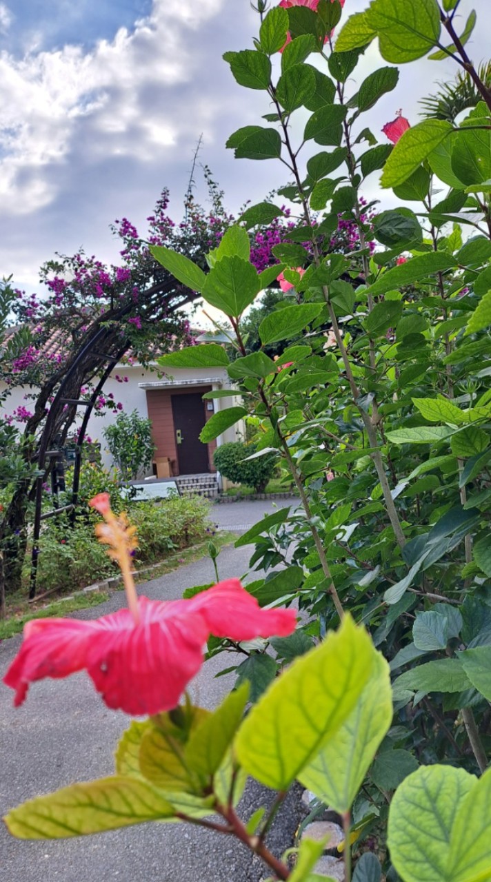 🏡ハツラツ研修生ハウス🏡人生の文庫本へ📖