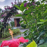 🏡ハツラツ研修生ハウス🏡人生の文庫本へ📖