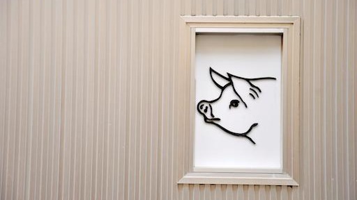 2019豬年可愛小物推薦！送禮自用都Q到翻掉的商品精選～