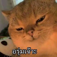 คุยเล่น