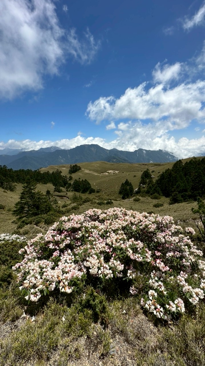 阿良登山游泳同好群