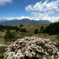 阿良登山游泳同好群