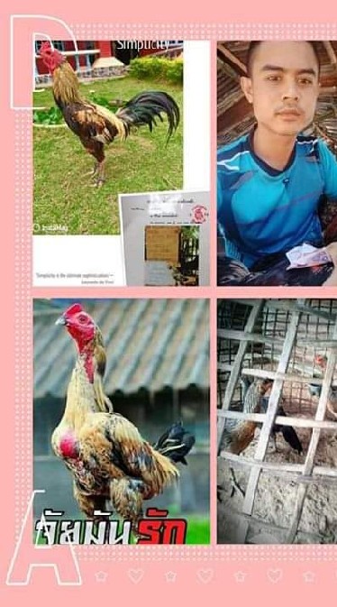 ซุ้ม ลำทรายฟาร์ม