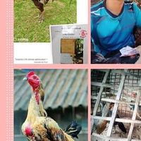 ซุ้ม ลำทรายฟาร์ม