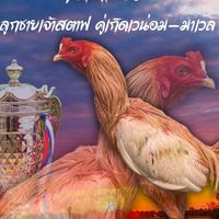 ซุ้ม โชคสกุลชัย🇹🇭💎🥁💯