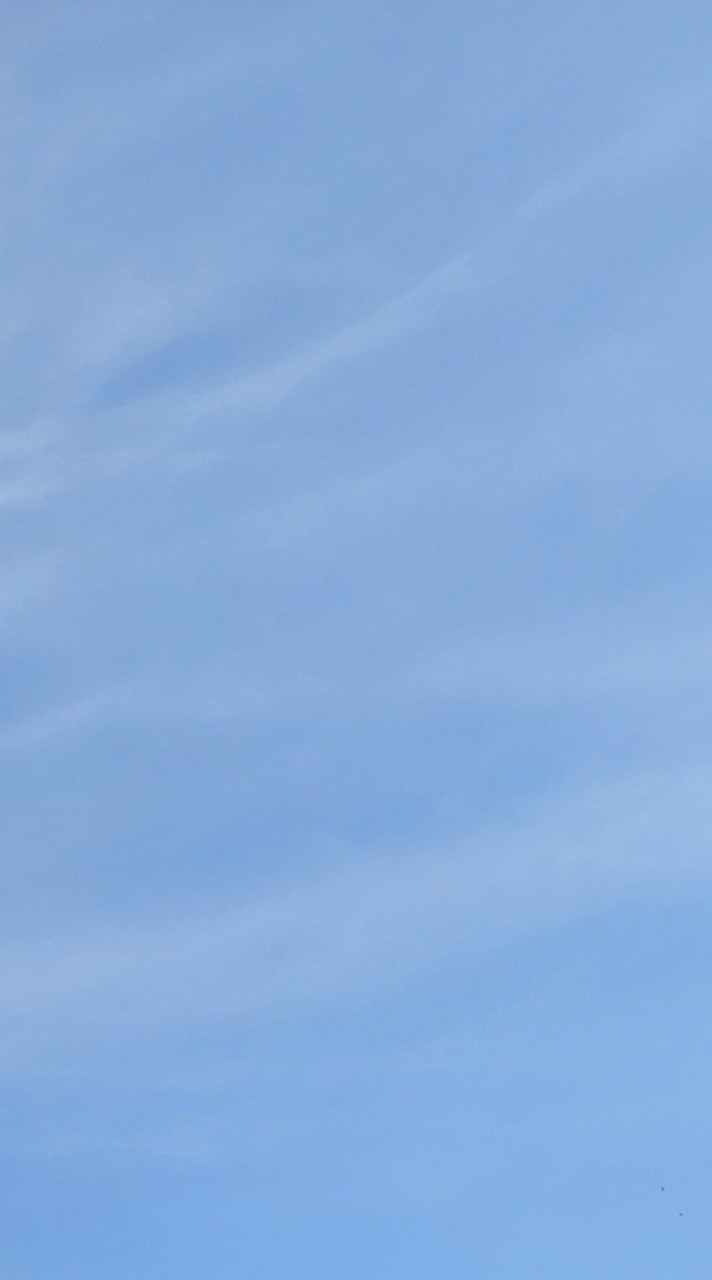 架空V事務所 ふらわーねっと