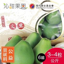 ◎您消費，我們捐售價7%幫助受暴婦幼|◎款項由我們捐出，您將不會收到捐款收據|◎老欉飽滿多汁 越小顆越好吃喔!品牌:沁甜果園類型:水果水果種類:文旦/柚子重量/件:3-4粒裝/公斤(共2箱)包裝:箱裝