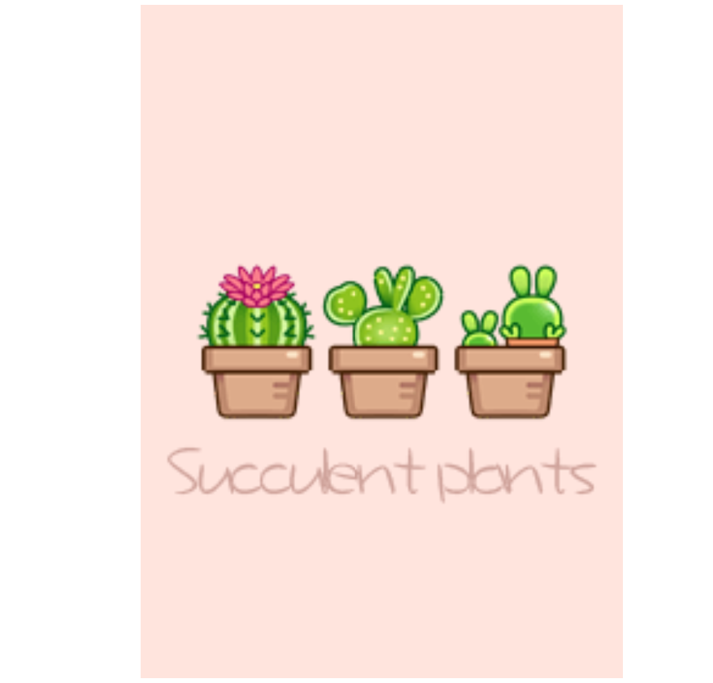Succulent plants in City