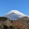ソロキャンプ好き集まれ🏕
