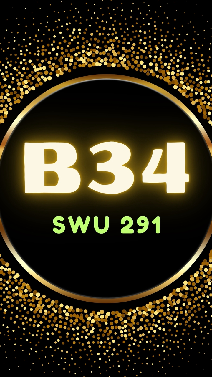 SWU 291 B34
