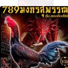 พม่าเหล่าโกวเซ้มฟาร์ม🐲🐲