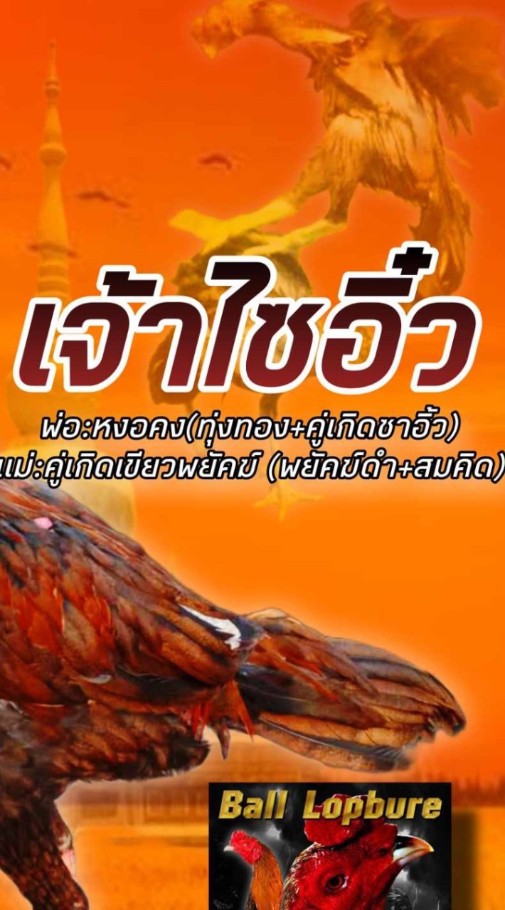 มนตรีฟาร์ม ก๋อยง่อนสโล่หลัง