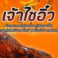 มนตรีฟาร์ม ก๋อยง่อนสโล่หลัง