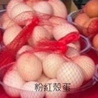 福山買蛋區