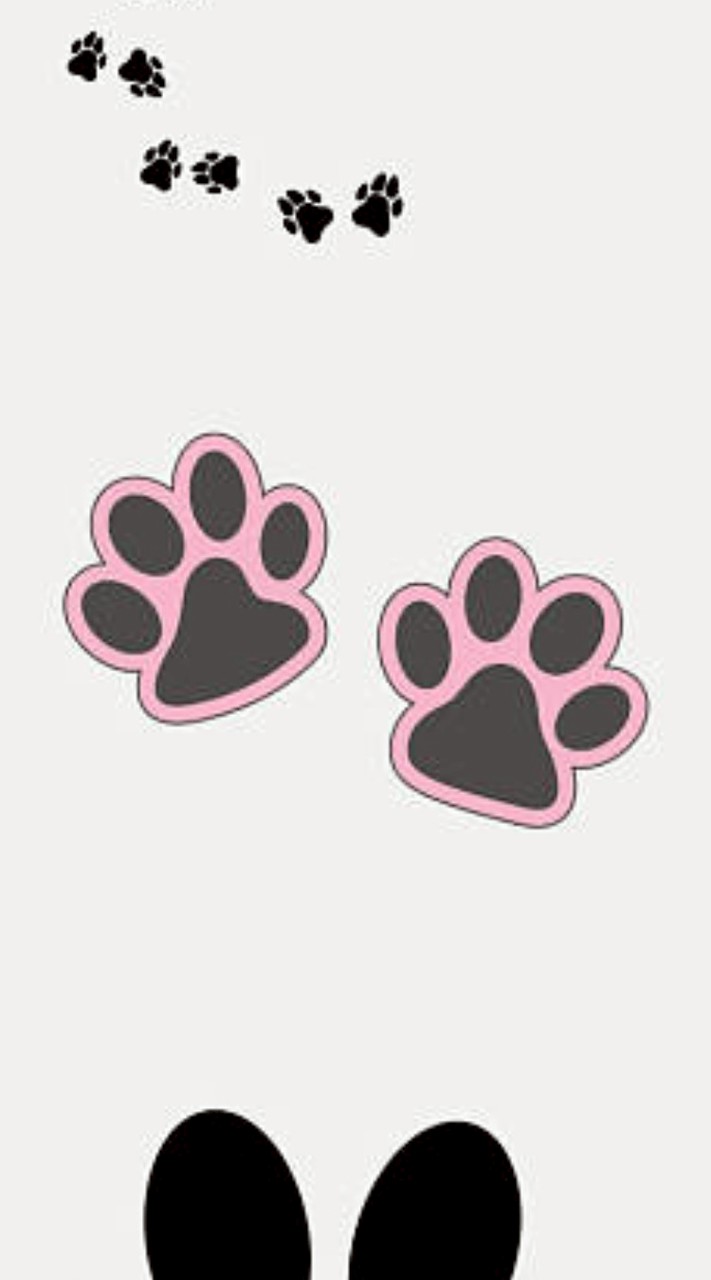 遠征-貓腳印🐾