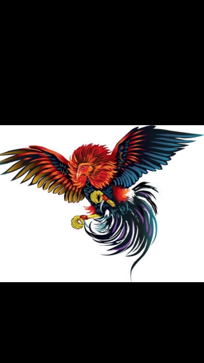 ส่งเสริมกีฬาไก่ชน