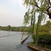 Tina獅
