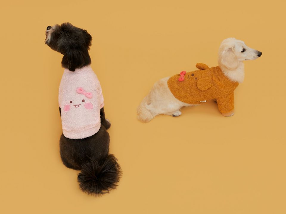 圖片來源：KAKAO FRIENDS.KR