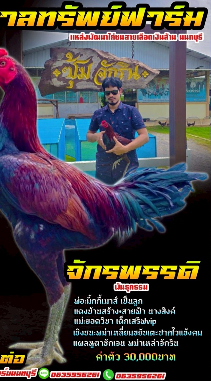 บันดาลทรัพย์ฟาร์ม🐓