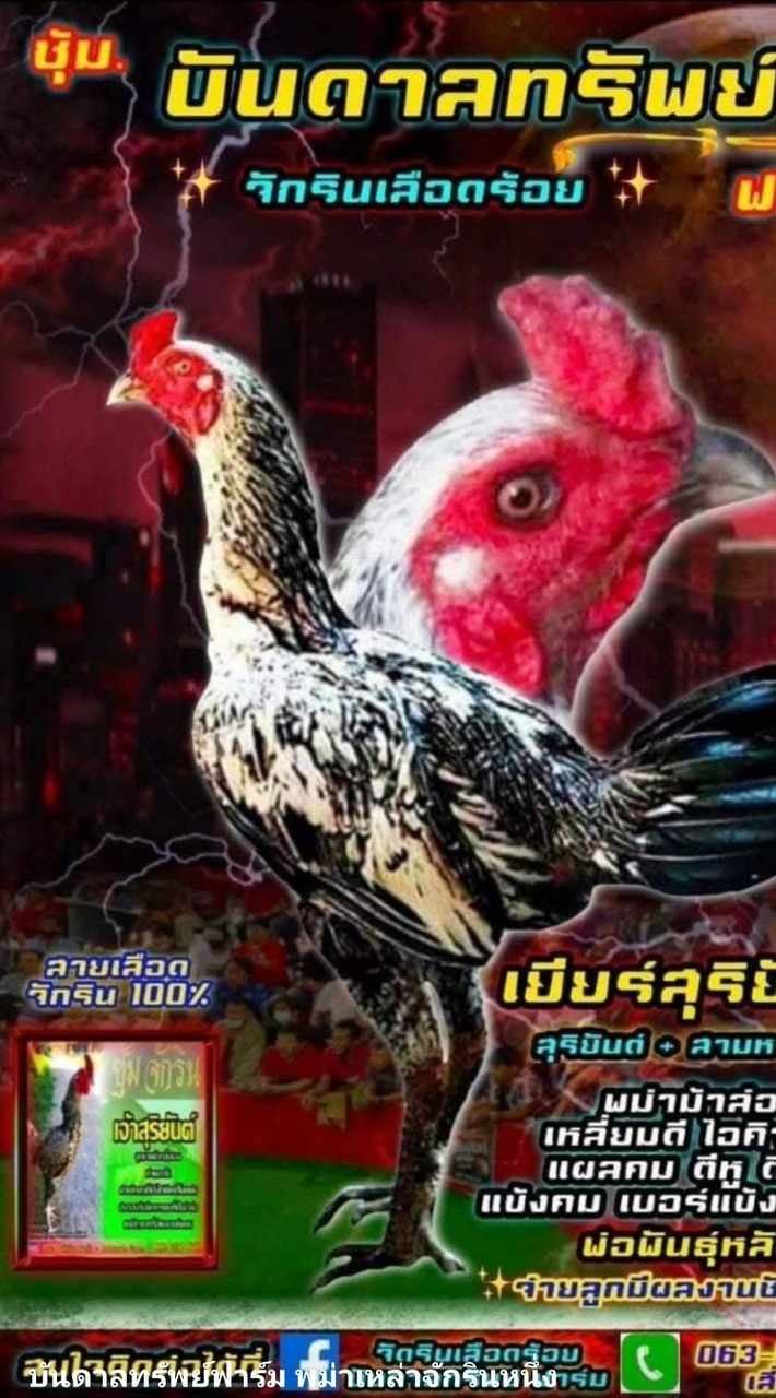 บันดาลทรัพย์ฟาร์ม🐓