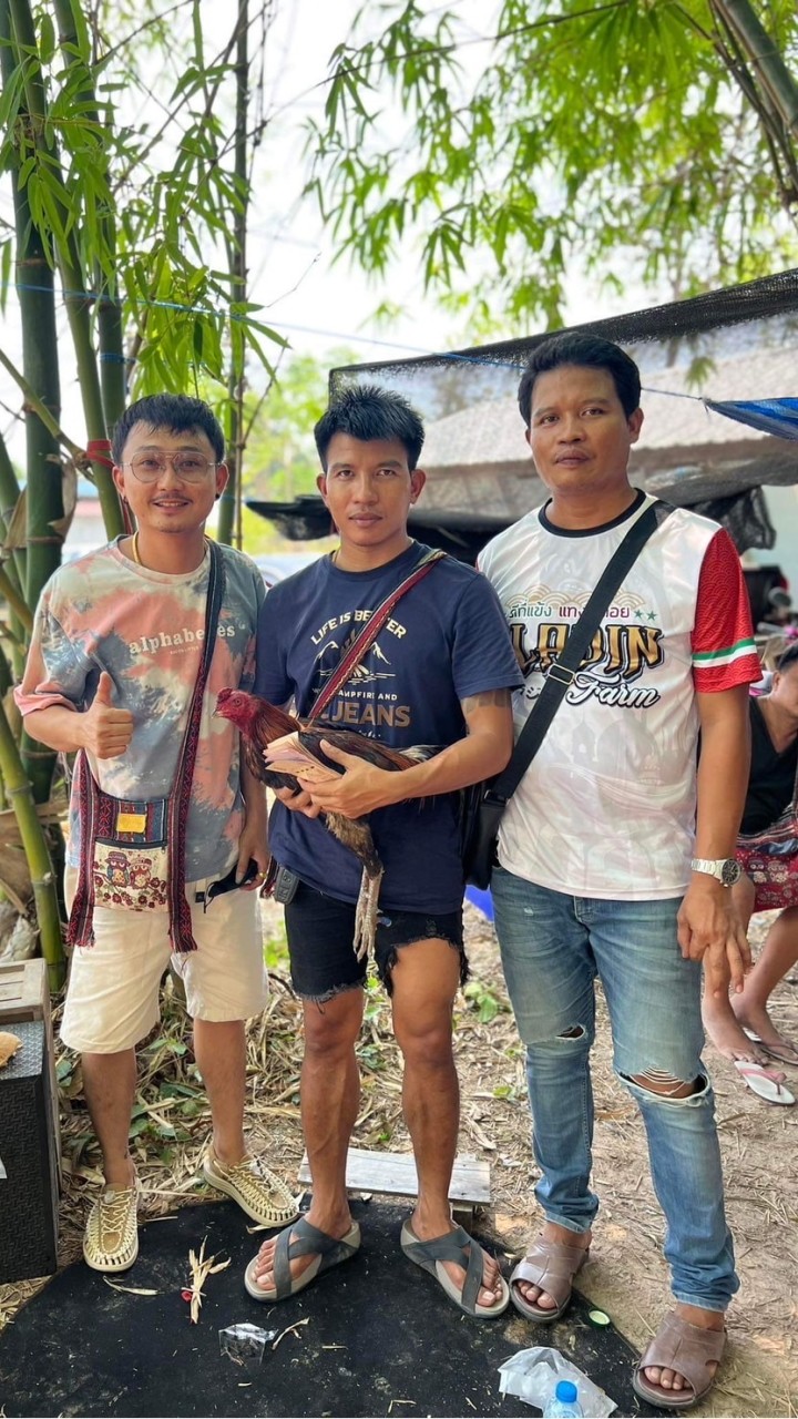 Pk.อาชาวินฟาร์ม