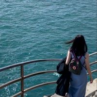 Amber 的旅遊快報
