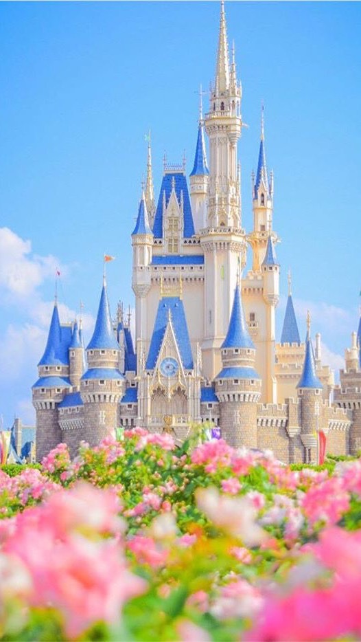 東京ディズニーリゾート愛好グループ