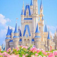 東京ディズニーリゾート愛好グループ