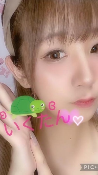 🐢のこのこ部屋🐢
