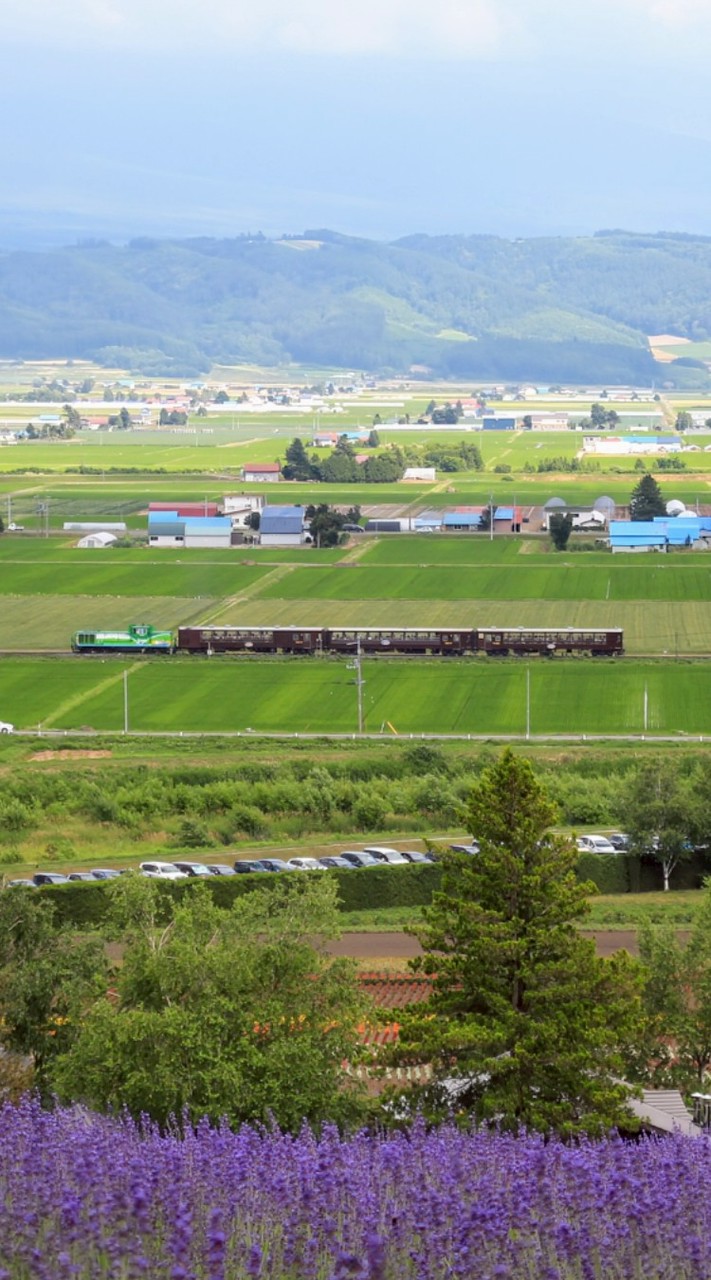 全国鉄道 ダイヤ(スジ)共有の会