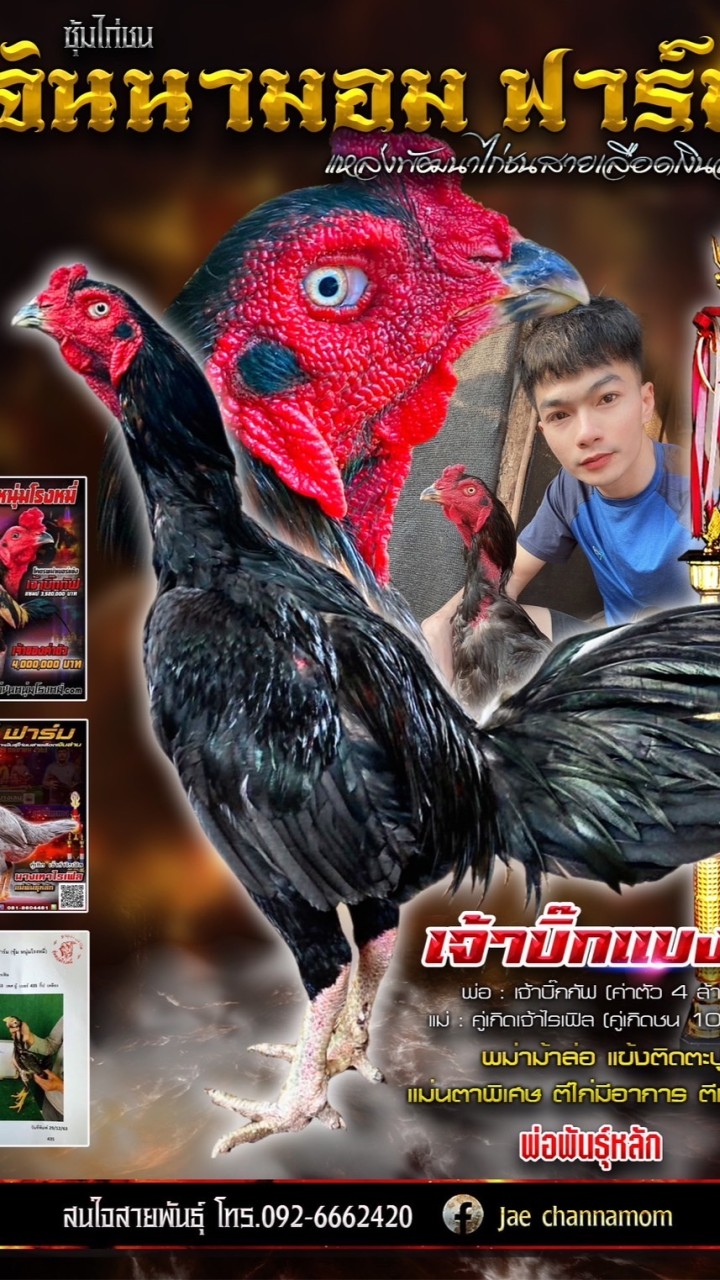 CHANANMOM FARM
