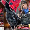 CHANANMOM FARM