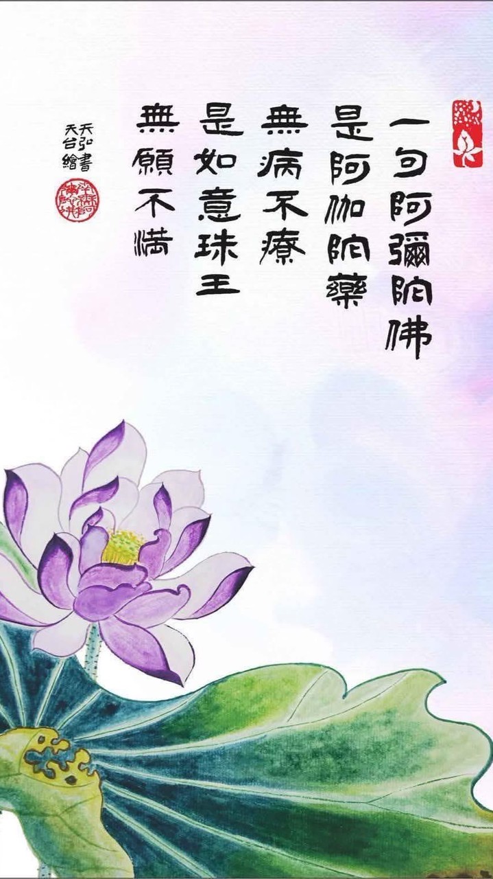 南無阿彌陀佛🙏🙏🙏