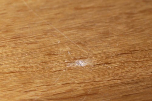 フローリングの へこみ傷 を たった3分で目立たなくする裏ワザ オリーブオイルをひとまわしニュース