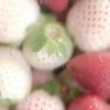 ご注文どうぞ、お客様＊まのさば壁打ち
