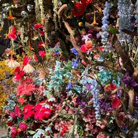 Watch!娃趣！