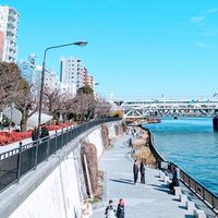 雪海預約問事、紫微、占卜