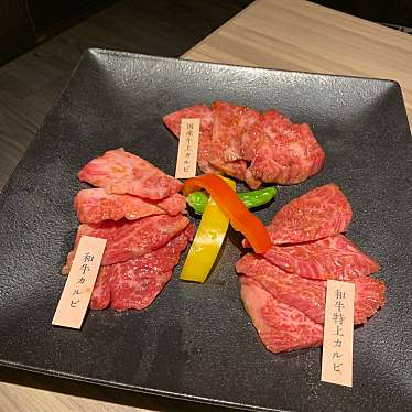 焼肉大将軍 八千代緑が丘店 ヤキニクダイショウグン ヤチヨミドリガオカテン 緑が丘 八千代緑が丘駅 焼肉 By Line Conomi