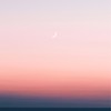 一起來賞月🌙