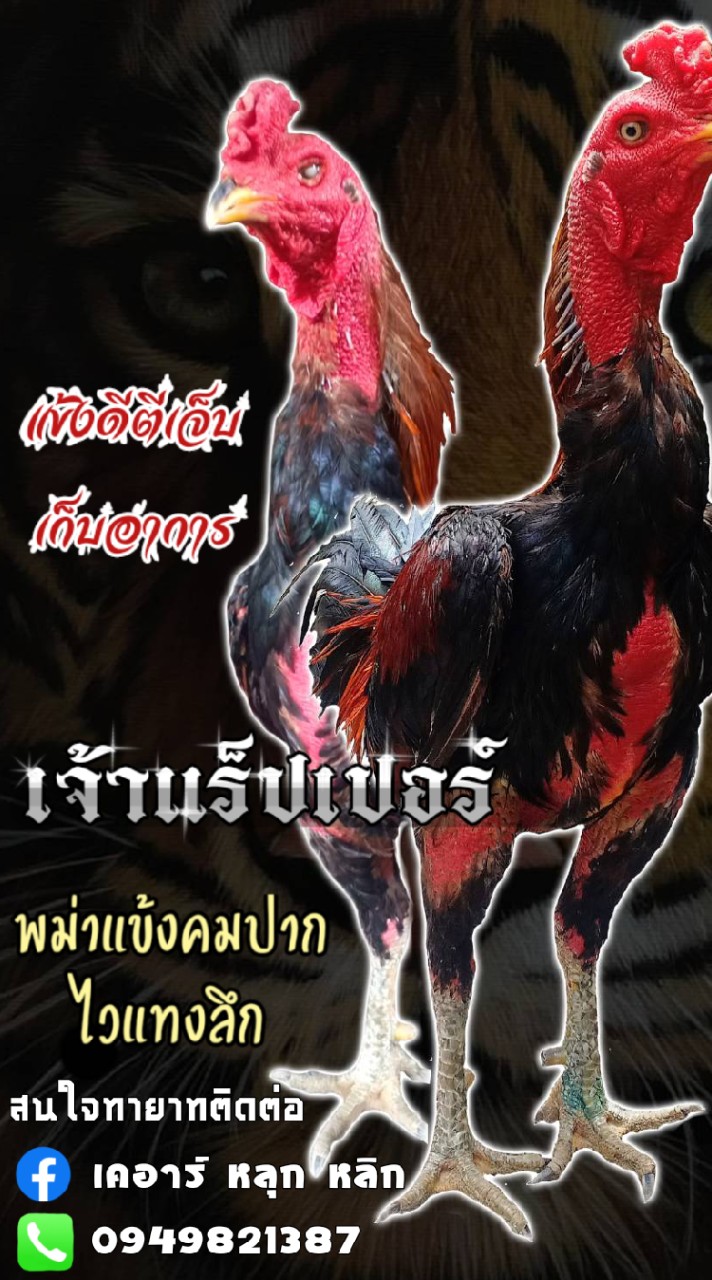 หลุกหลิกฟาร์ม🐓