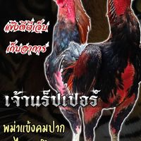 หลุกหลิกฟาร์ม🐓