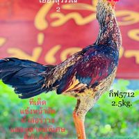🐔อ.อุปนันท์ ซุ้มหนุ่มชาววัง สายเลือด สมีสุวรรณ