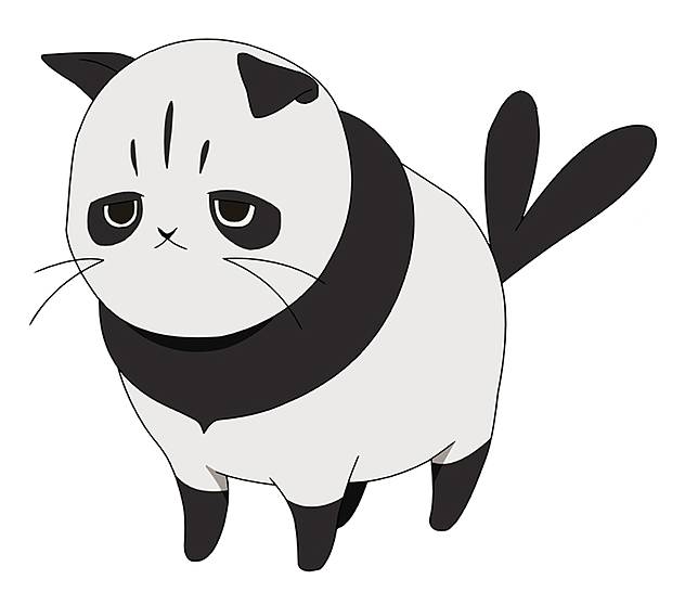 10月新番 Visual Prison 豪華聲優團宣傳照唯獨 銀魂 銀時杉田智和扮熊貓 Japan Walker Hk Line Today